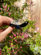 Load image into Gallery viewer, Obsidian Turtles (pick your own)