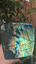 Load and play video in Gallery viewer, Large Labradorite freeform (30% off)
