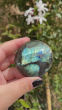 Load and play video in Gallery viewer, Labradorite Palm Stones (50% off(pick your own))
