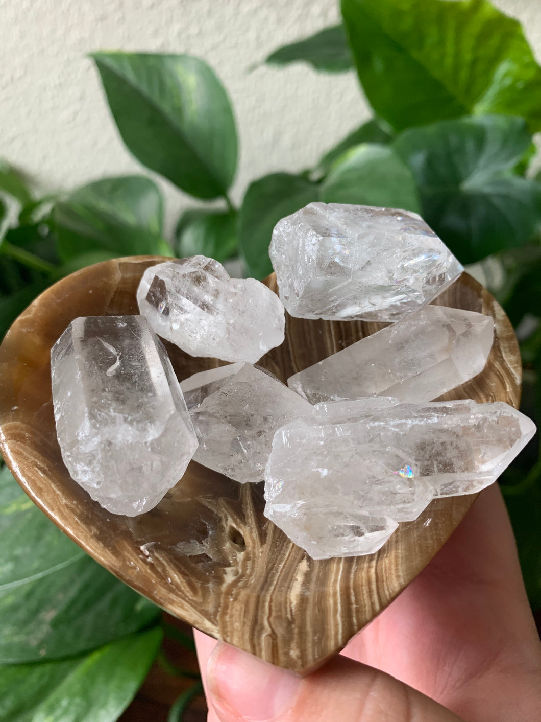 Mini Clear Quartz Points