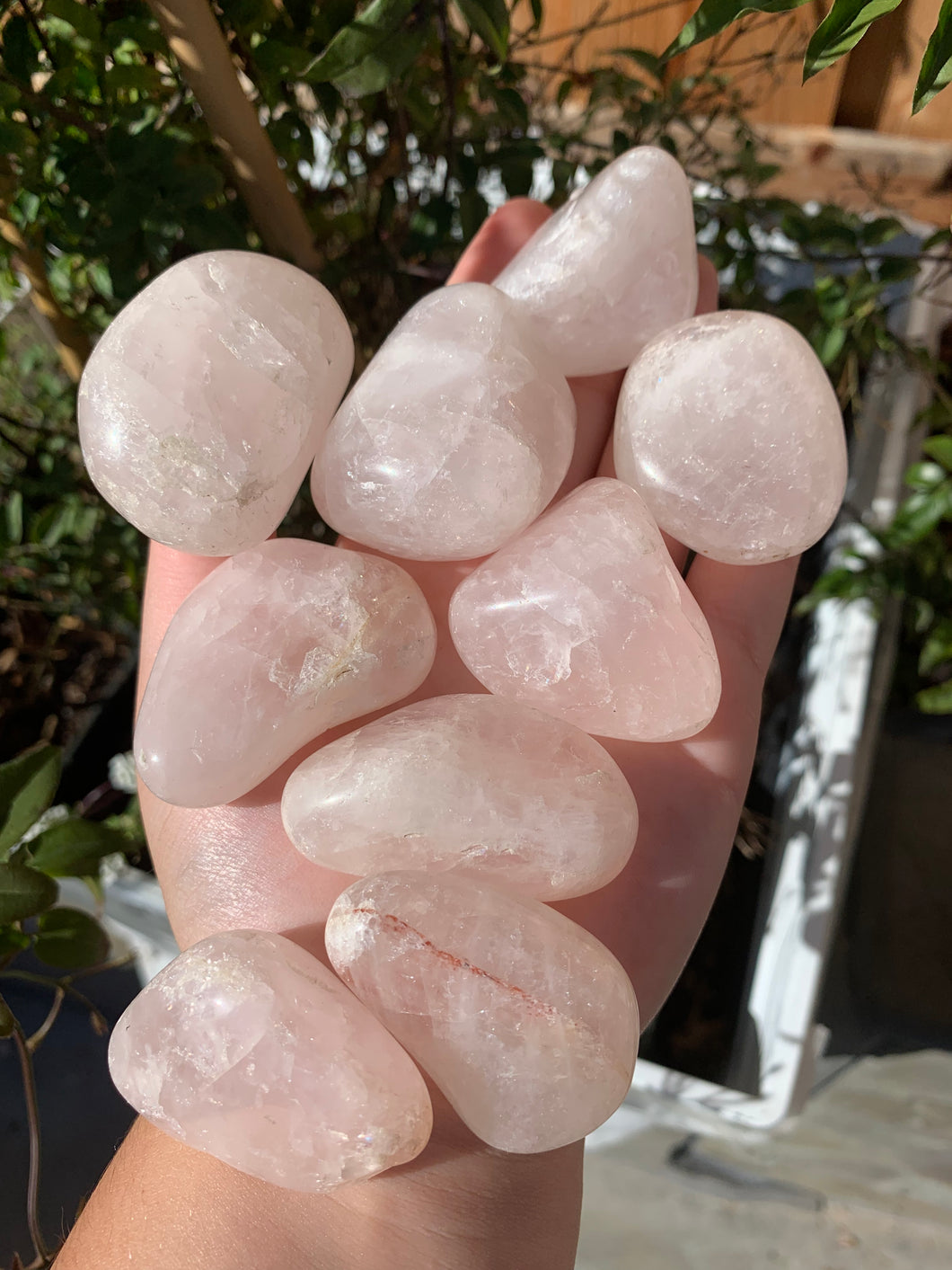 Rose Quartz Tumbles