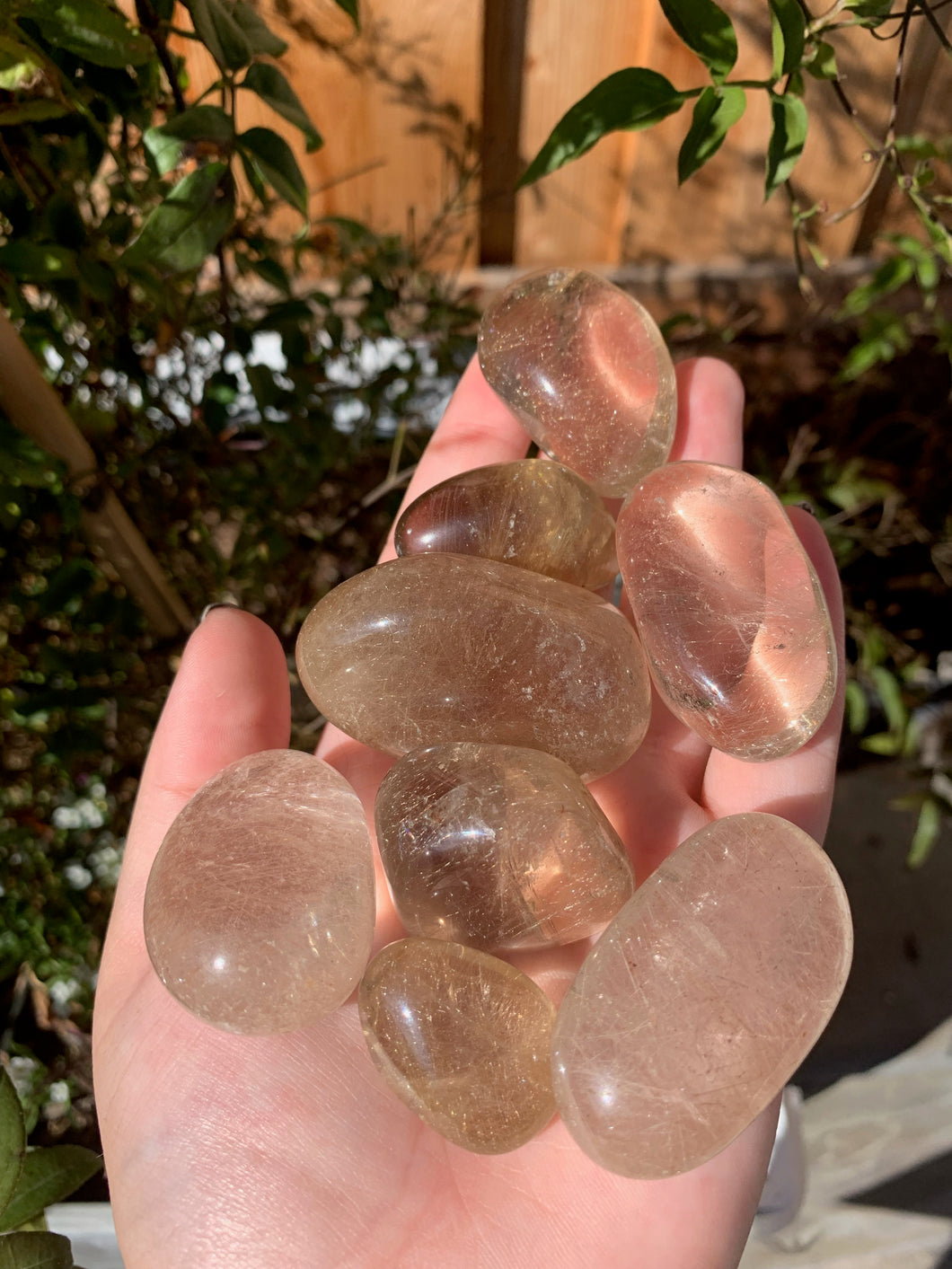 Rutilated Quartz Tumbles