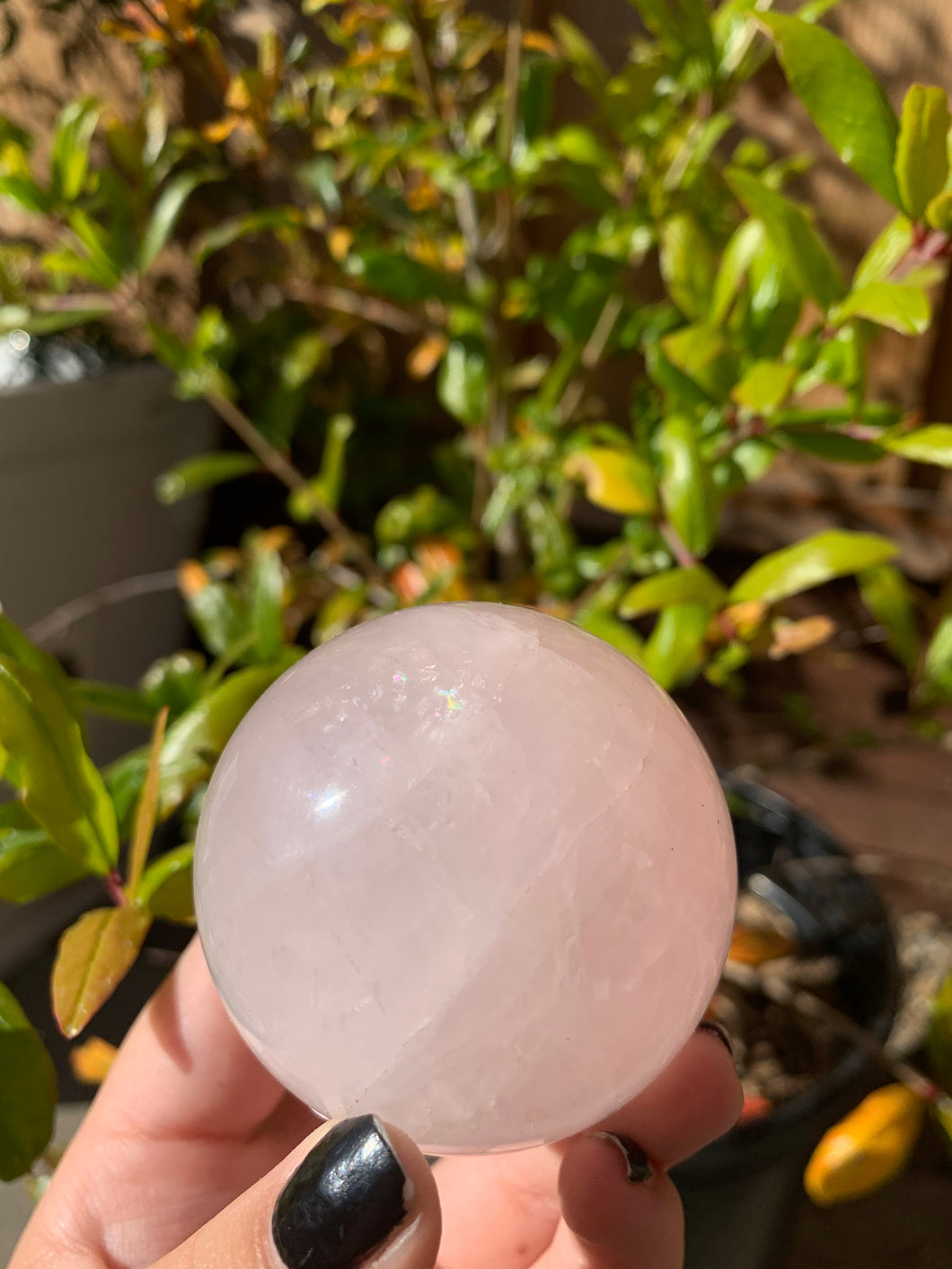 Rose Quartz Sphere (50% off)