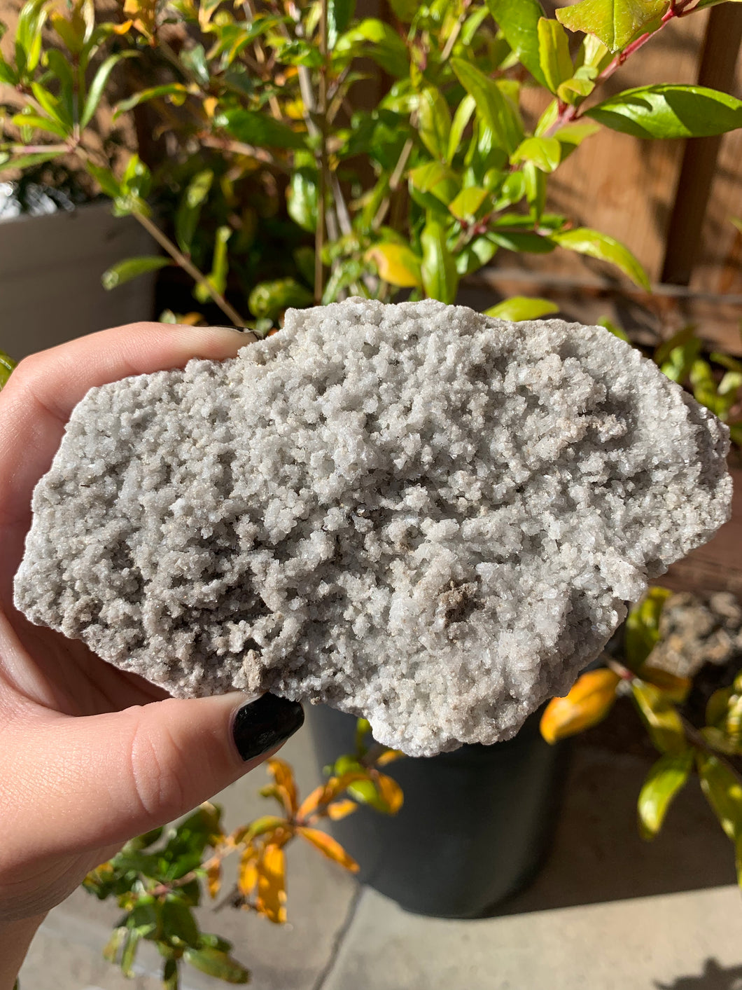 Large Flat Celestite Cluster (50% off)