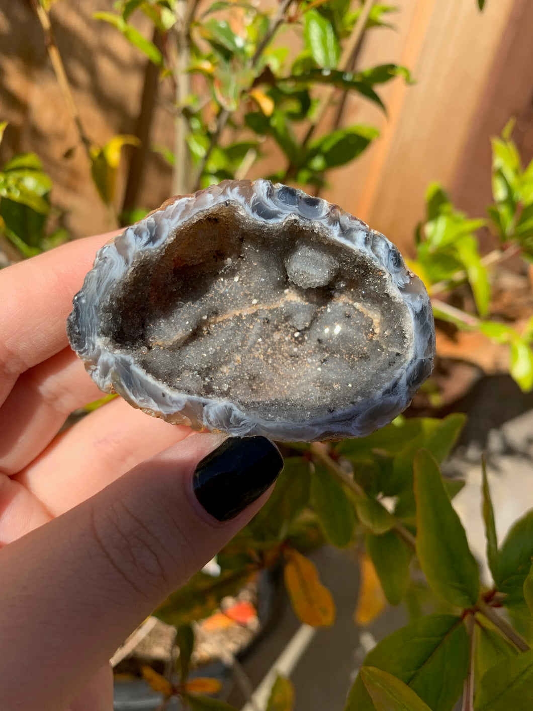 Blue Agate Geode (50% off)