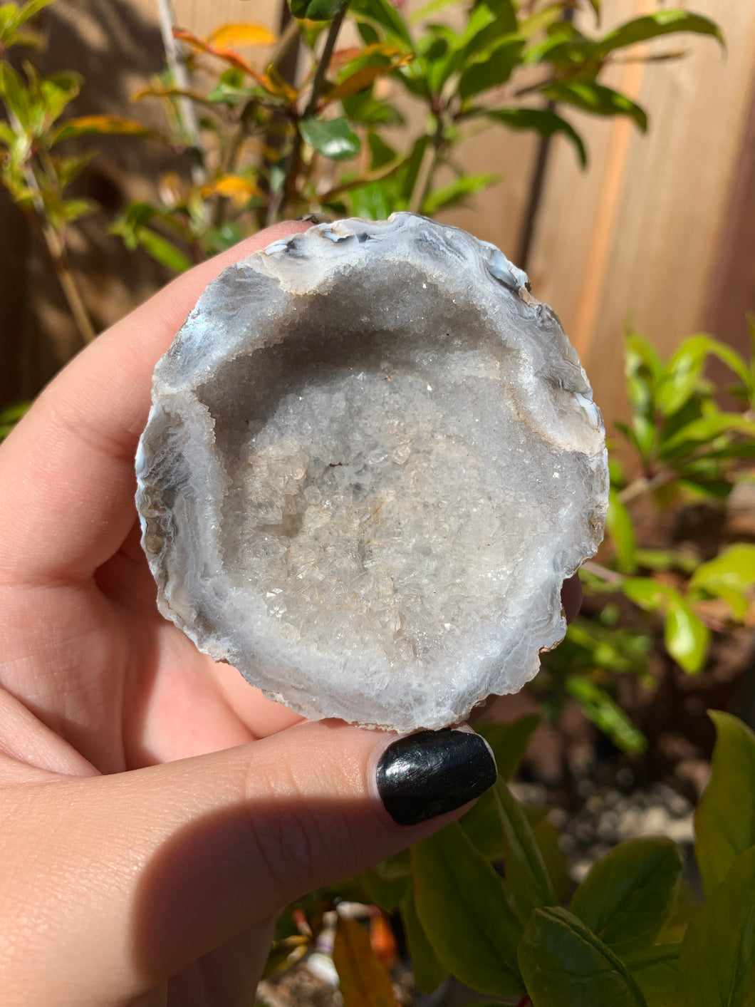 Baby Blue Agate Geode (50% off)