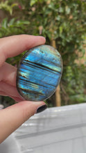 Load and play video in Gallery viewer, Labradorite Palm Stones (50% off(pick your own))
