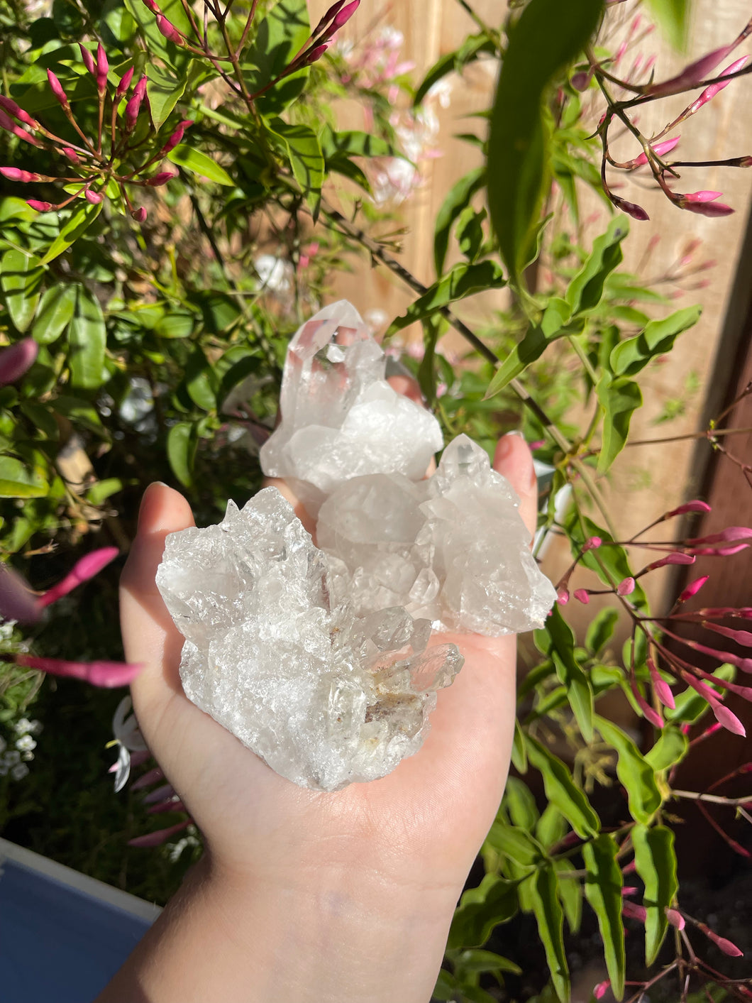 Clear Quartz Clusters