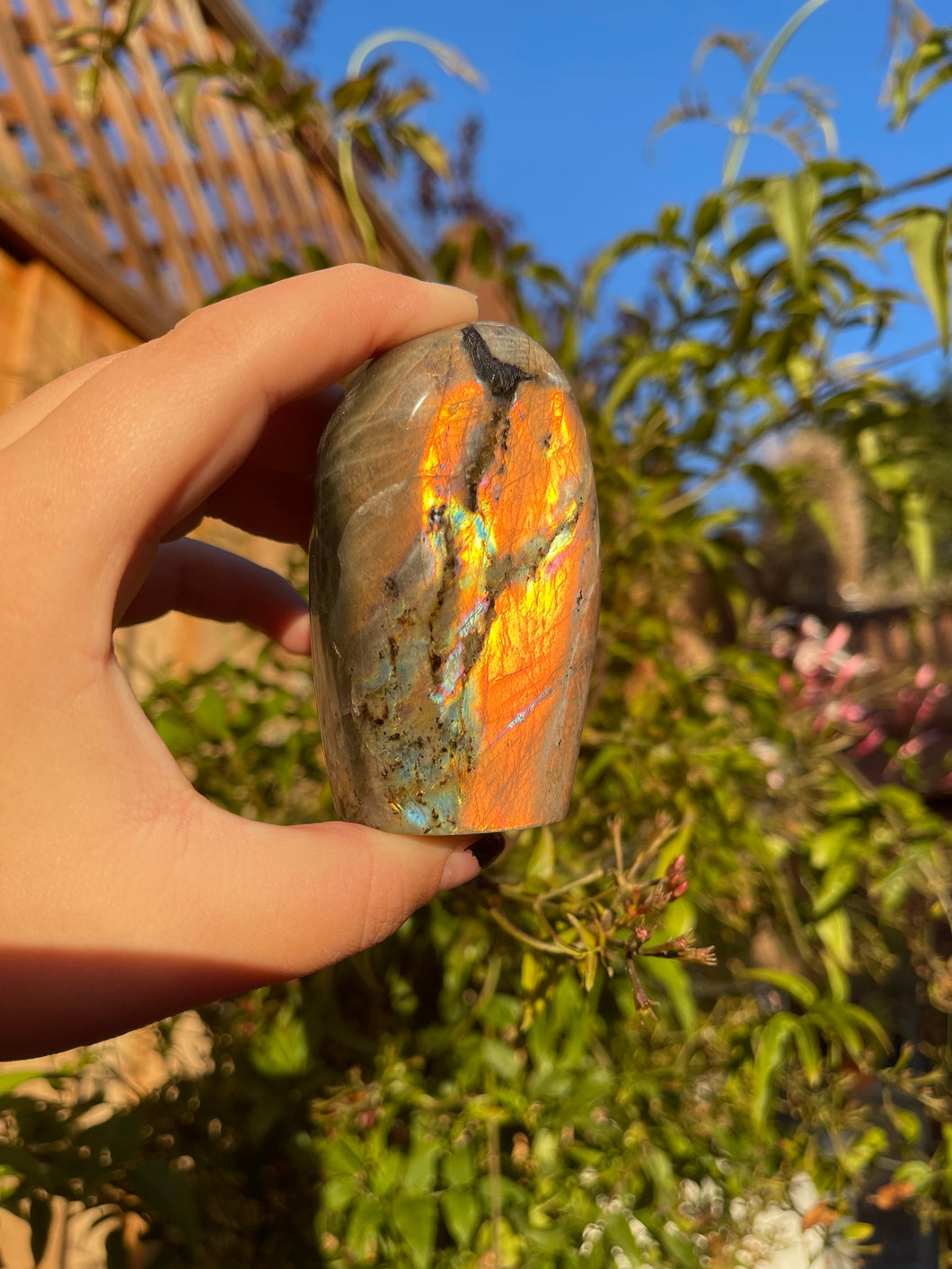 Orange flash labradorite freeform B (30% off)