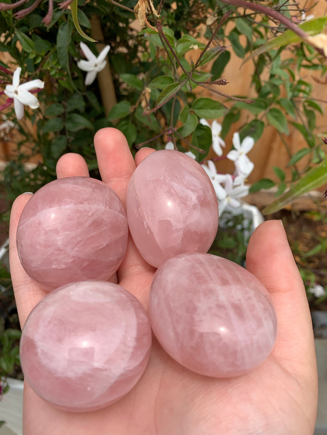 Rose Quartz Palm Stones / Large Tumbles