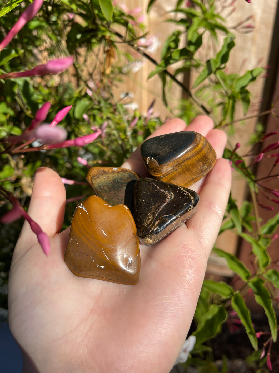 Tigers Eye Tumbles