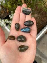 Load image into Gallery viewer, Labradorite Tumbles
