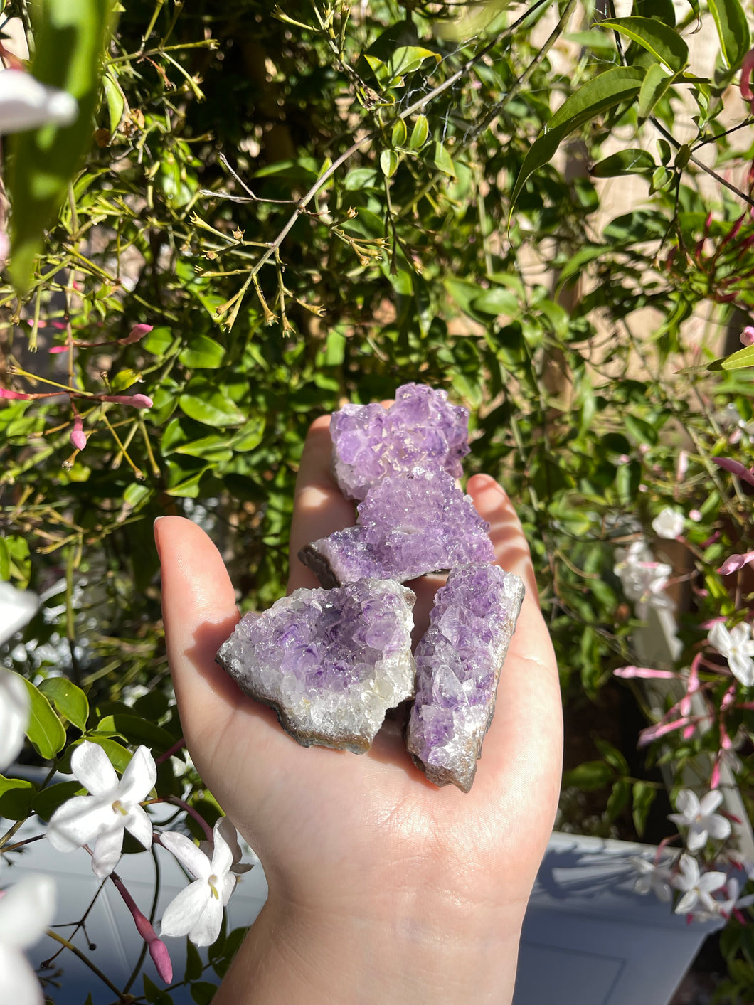 Amethyst Clusters