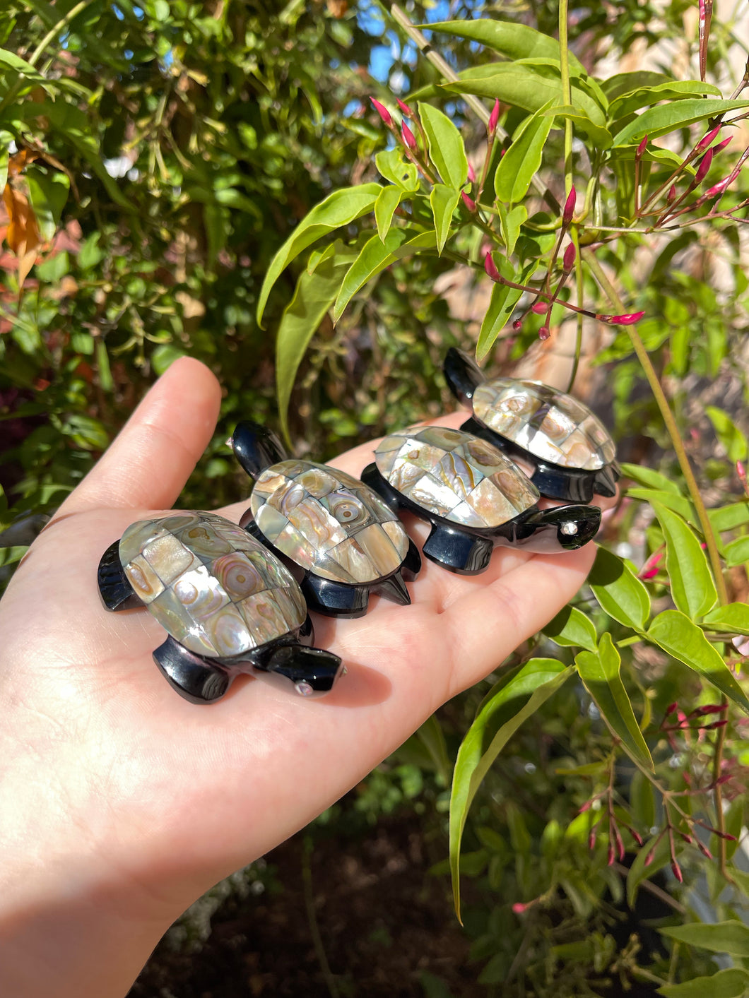 Obsidian Turtles (pick your own)